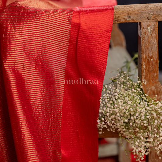 PINK & RED OMBRE DUAL-SHADED TISSUE TUSSAR SAREE