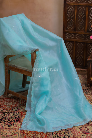 BLUE GLACIER KOTA TUSSAR SAREE WITH TUSSAR BLOUSE