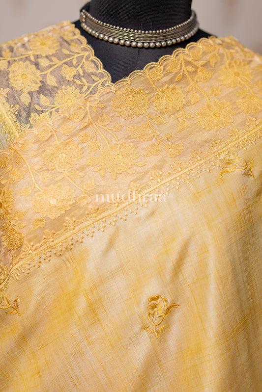 AMBER EMBROIDERED TUSSAR SAREE