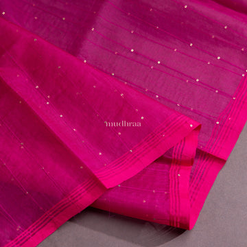 RANI PINK HANDWOVEN PAITHANI MUSLIN SILK SAREE